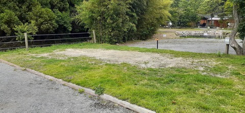 216-200(5-5)山鳥の森623_131942