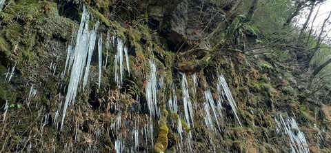 134-119(33-33)ドラゴンキャンプ場29_110711