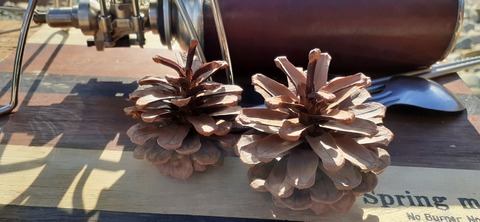 189-173(31-30)大島加代海岸103_143238