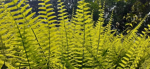 258-239(47-44)オーシャンビュー429_141649