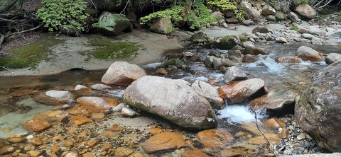 156-141(55-55)鹿川キャンプ場505_152853