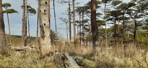 209-193(51-50)えびの高原キャンプ村503_151717