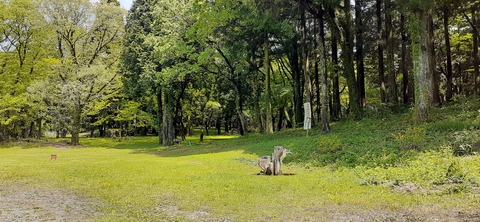 206-190(48-47)吉無田高原緑の村430_135721