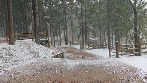 78-63(33-29)北山キャンプ場63S