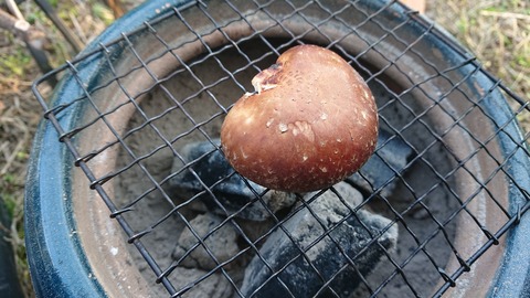 42-34家族旅行村安心院98S