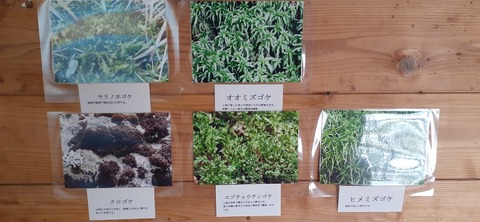 245-227(34-32)法華院温泉山荘103_153312