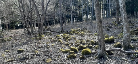 192-176(34-33)牧の原3121_125224