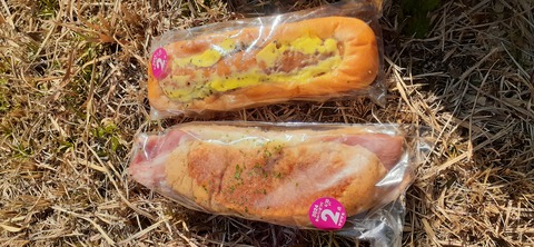 251-232(40-37)大坂山障子ヶ岳218_120556