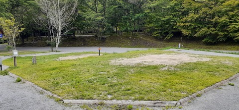 216-200(5-5)山鳥の森623_132006