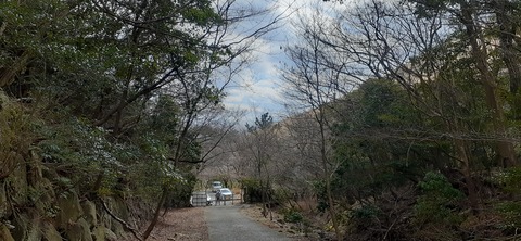 251-232(40-37)伽藍岳ゲリラキャン303_123636