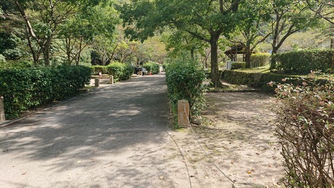 62-51(17-15)千石キャンプ場766S