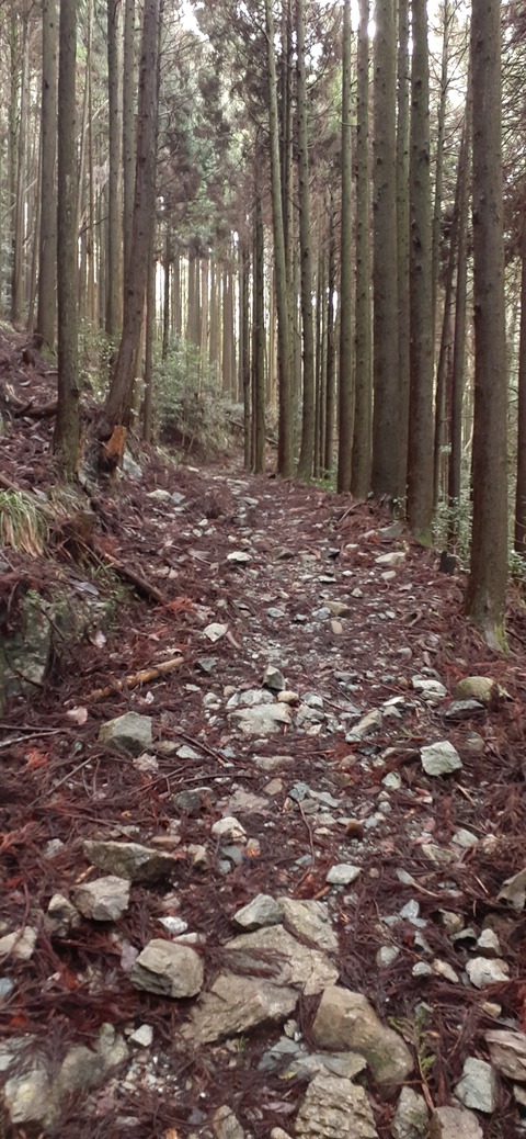 202-186(44-43)八木山渓流公園325_105733