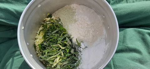 247-228(36-33)ゴンドーシャロレー11泊目127_145214