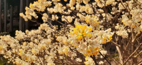 254-235(43-40)長崎鼻リゾート②330_113155