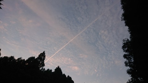 118-103(17-17)グランピングKAWASAKI２145S