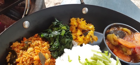 199-183(41-40)山中キャンプ場311_172708