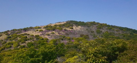 265-246(2-2)泉水キャンプ場526_090518