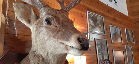 146-131(45-45)牧の原キャンプ場12_124846