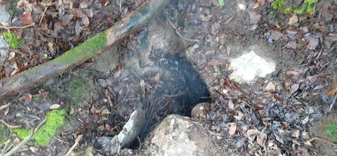 251-232(40-37)伽藍岳ゲリラキャン303_092924