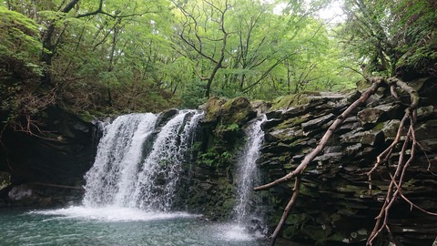 112-97(11-11)坊ガツルキャンプ場273