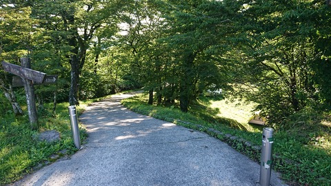 109-94(8-8)背振山キャンプ場873