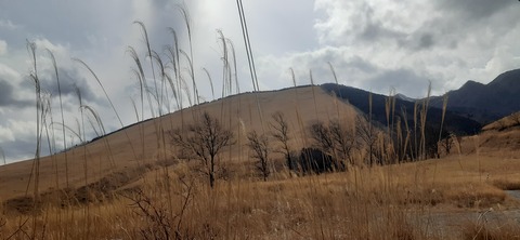 251-232(40-37)伽藍岳ゲリラキャン302_134155