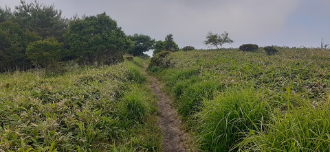 268-248(5-4)万年山616_084422