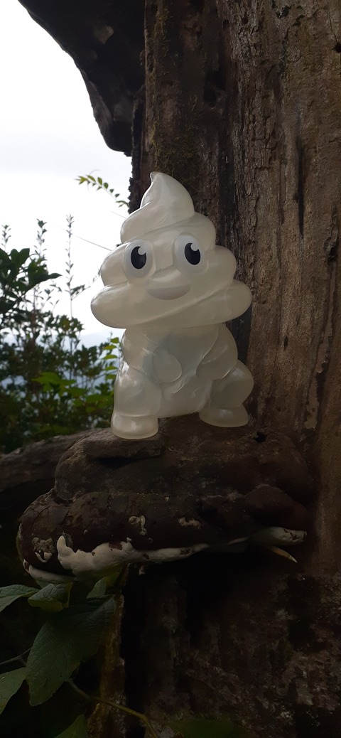 227-210(16-15)スノーピーク奥日田902_121800