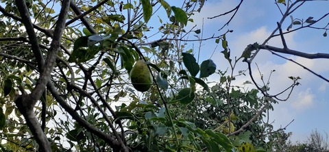 231-214(20-19)牛斬山1001_155841