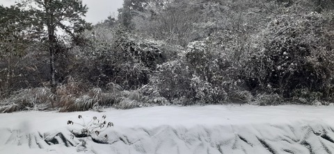 238-221(27-26)法華院温泉山荘1118_091835