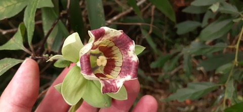 231-214(20-19)牛斬山1001_144830