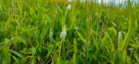 159-144(1-1)遊牧民521_161648