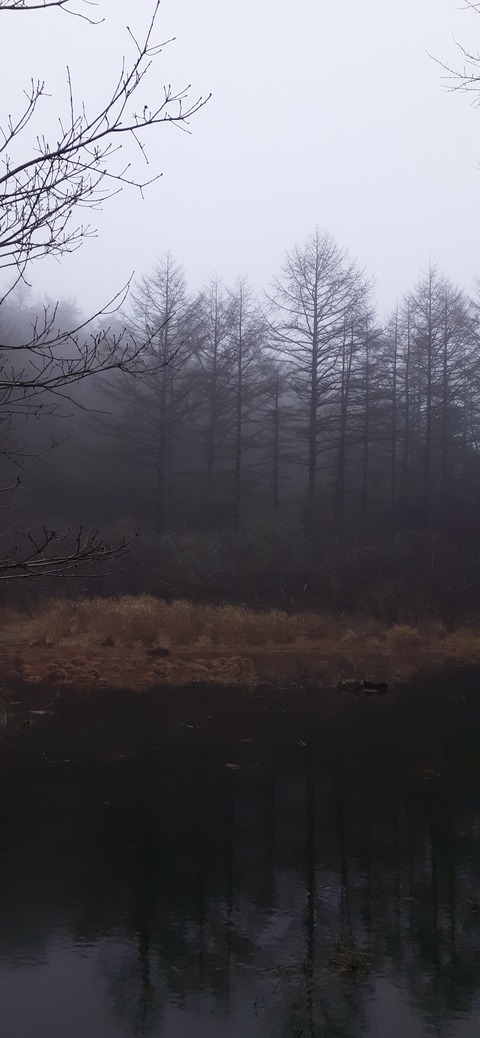 251-232(40-37)法華院温泉山荘2泊目223_115337