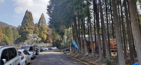 199-183(41-40)山中キャンプ場311_112200