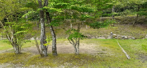 216-200(5-5)山鳥の森623_132239