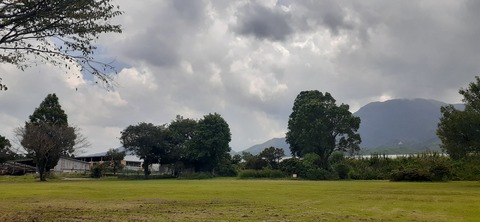 229-212(18-17)竹原牧場916_124605