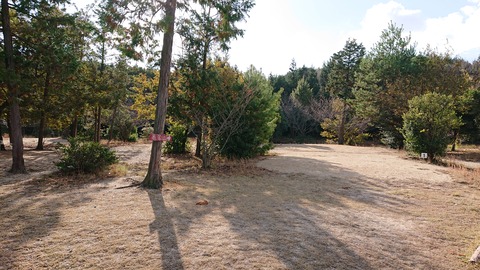 74-61(29-25)千防川砂防公園キャンプ場717