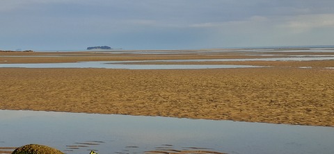 198-182(40-39)キワラビーチ225_163014