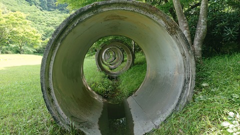 49-39鯛生金山キャンプ場306S