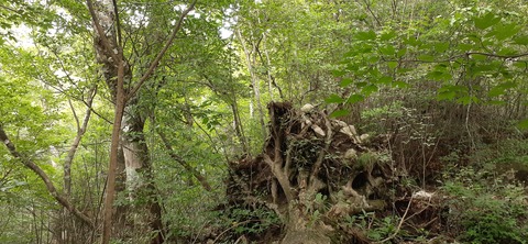 227-210(16-15)スノーピーク奥日田902_125340