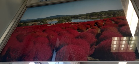 237-220(26-25)るるパーク1111_120310