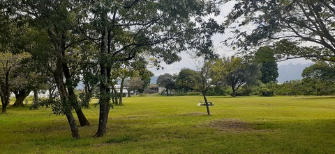 229-212(18-17)竹原牧場916_123254