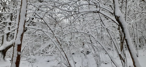 238-221(27-26)法華院温泉山荘1118_112324