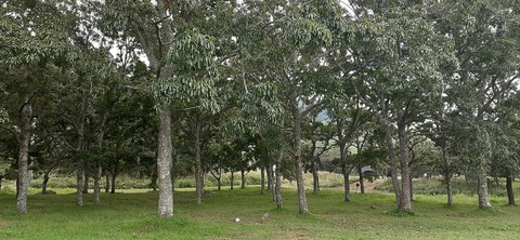 228-211(17-16)泉水キャンプ村909_130106