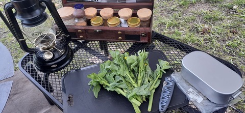 254-235(43-40)長崎鼻リゾート②330_163818