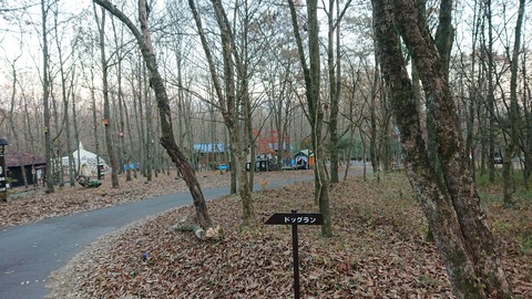 126-111(25-25)CAMP✕WOODS403