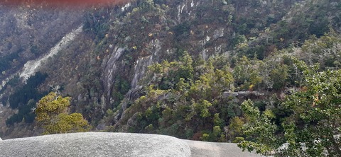 236-219(25-24)大崩山1104_140503