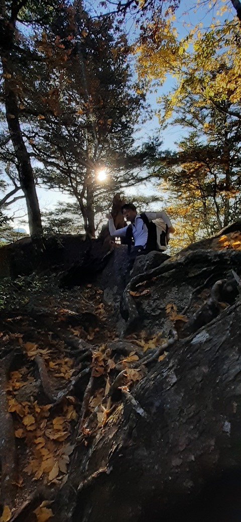 236-219(25-24)大崩山1104_075529