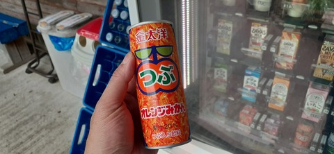 210-194(52-51)妙見野自然の森展望公園504_105016