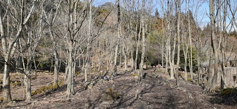 192-176(34-33)牧の原3121_125028